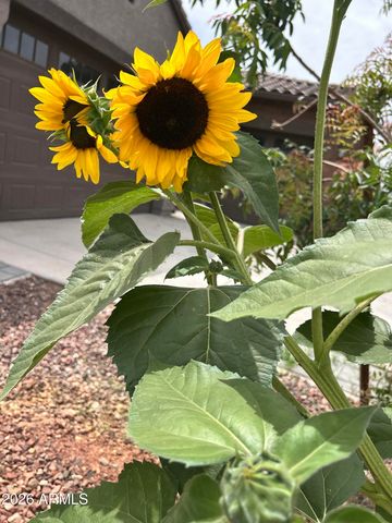 9321 W SELLS Drive, Phoenix, AZ 85037