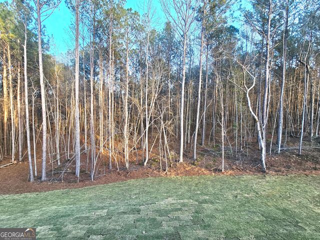 463 Lamar Smith Drive LOT 6, Newnan, GA 30263