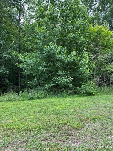17237 Ivory Bill Ln, Chesterfield, VA 23838