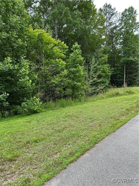 17237 Ivory Bill Ln, Chesterfield, VA 23838