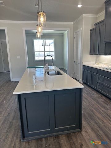 1508 Cottonwood Mesa Drive, Kempner, TX 76539