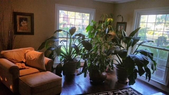 3328 Southmore Boulevard, Houston, TX 77004