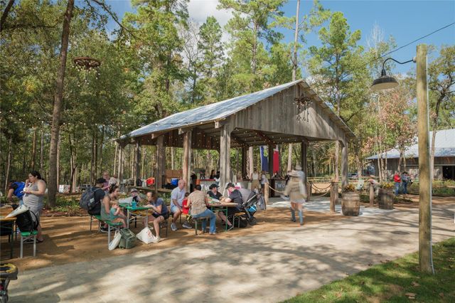 7806 Longhorn Ballroom Drive, Montgomery, TX 77316