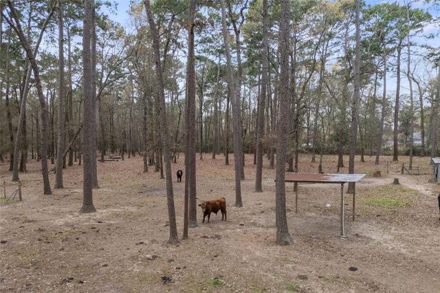 31601 Huffman Cleveland Road, Huffman, TX 77336