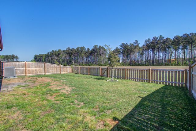 424 Water Orchid Way, Moncks Corner, SC 29461