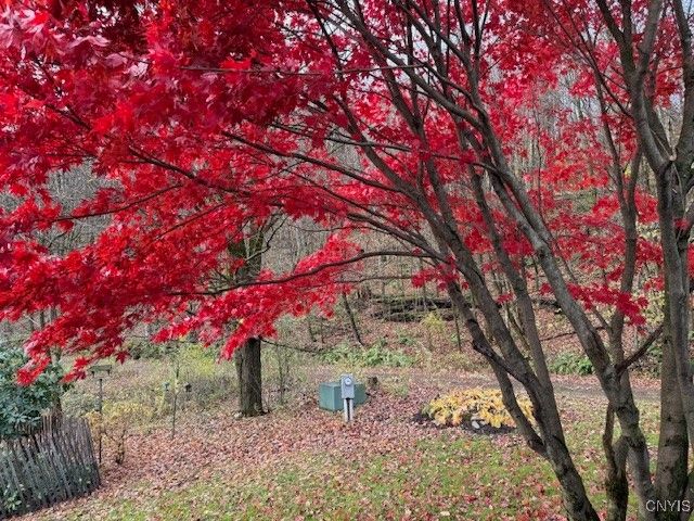 2359 Sessions Hill Road, Homer, NY 13077