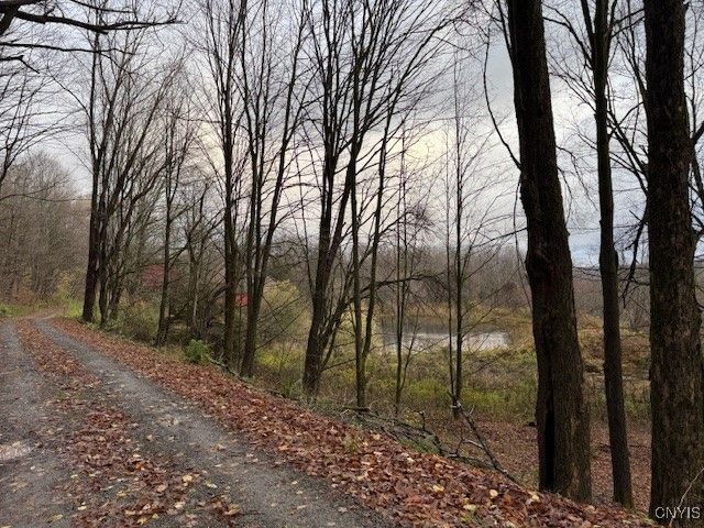 2359 Sessions Hill Road, Homer, NY 13077