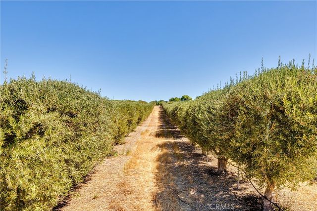 5055 Rancho La Loma Linda Drive, Paso Robles, CA 93446