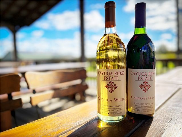 6800 State Route 89, Romulus, NY 14521