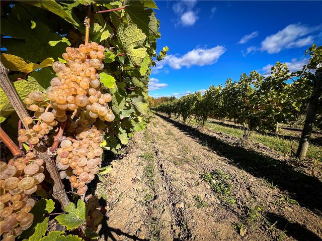 6800 State Route 89, Romulus, NY 14521