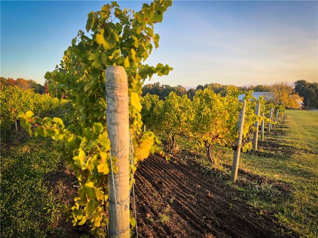 6800 State Route 89, Romulus, NY 14521