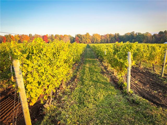 6800 State Route 89, Romulus, NY 14521