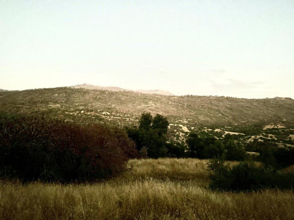 Image 2 of property listing at 369 Hogback, Miramonte, CA 93641