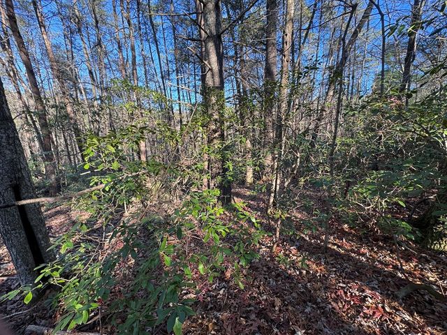 Lot J260 Pine Ridge Road, Ellijay, GA 30536