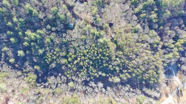 Lot J260 Pine Ridge Road, Ellijay, GA 30536