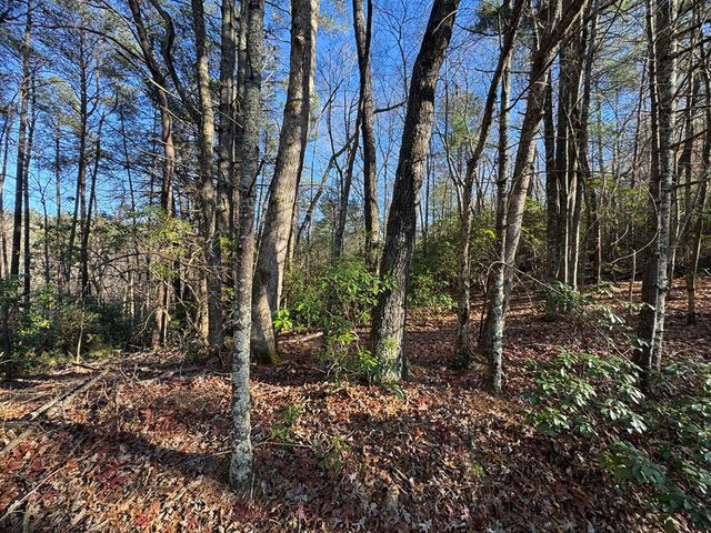 Lot J260 Pine Ridge Road, Ellijay, GA 30536