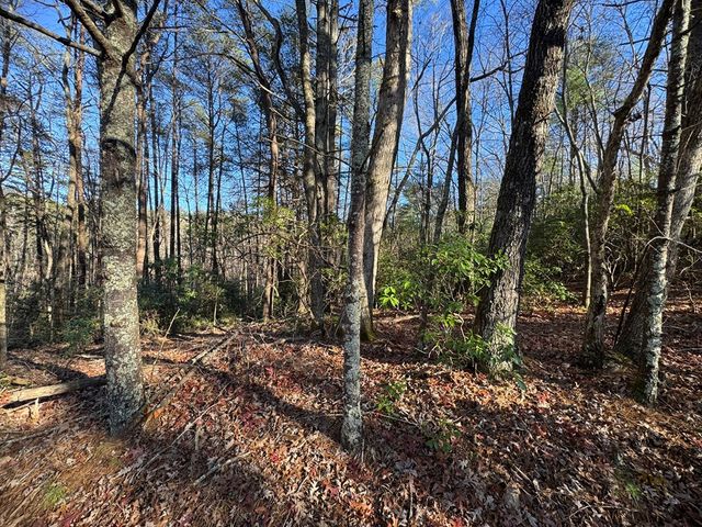 Lot J260 Pine Ridge Road, Ellijay, GA 30536