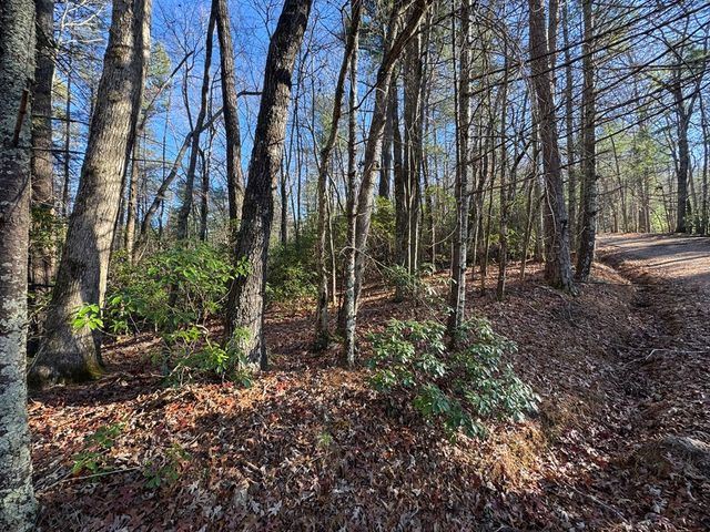 Lot J260 Pine Ridge Road, Ellijay, GA 30536