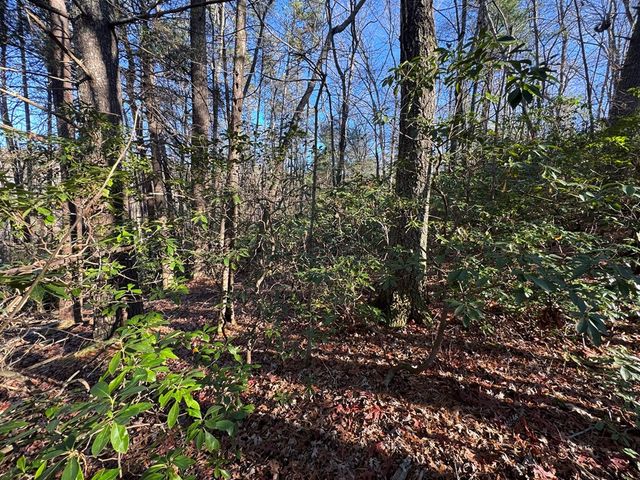 Lot J260 Pine Ridge Road, Ellijay, GA 30536