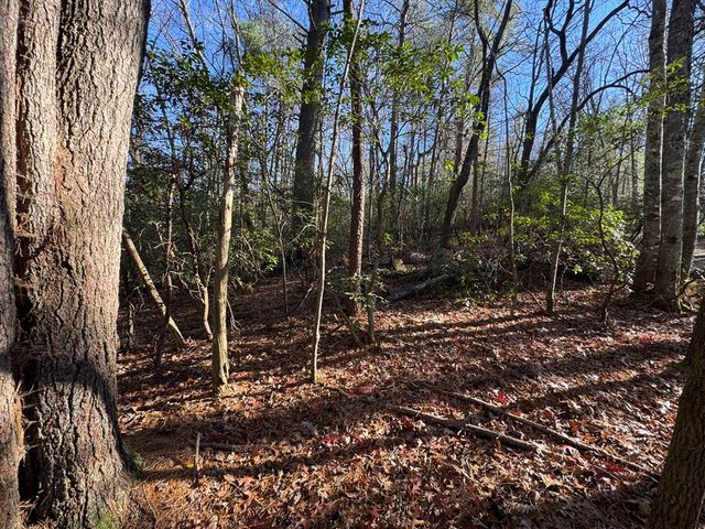 Lot J260 Pine Ridge Road, Ellijay, GA 30536