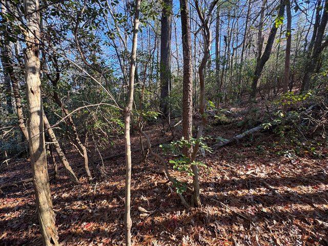 Lot J260 Pine Ridge Road, Ellijay, GA 30536