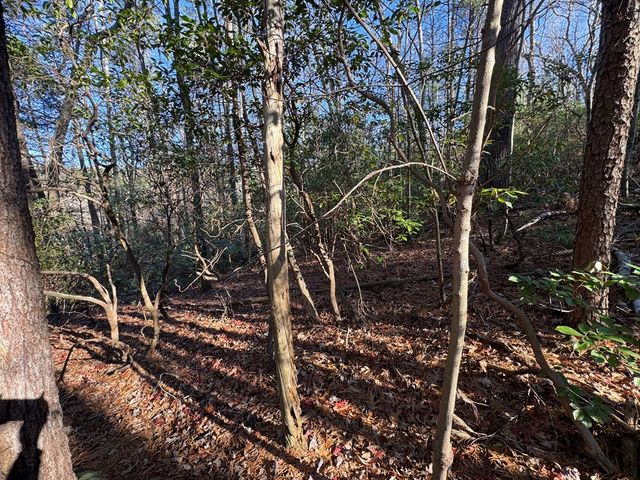 Lot J260 Pine Ridge Road, Ellijay, GA 30536