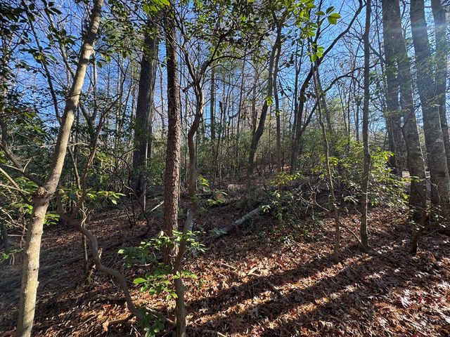Lot J260 Pine Ridge Road, Ellijay, GA 30536