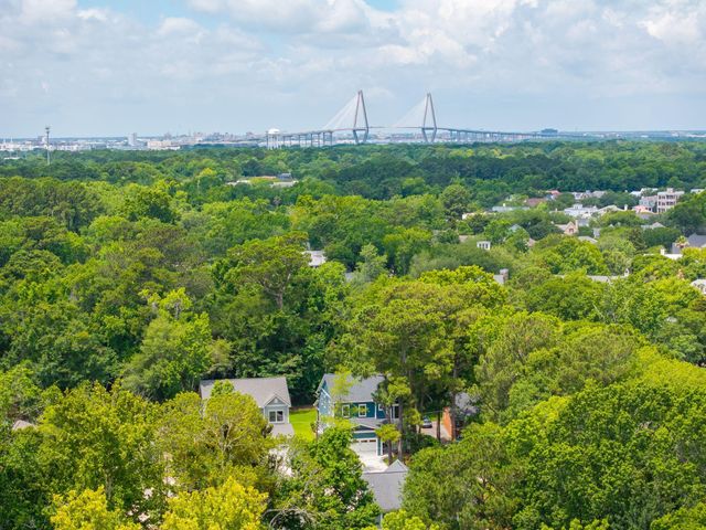 717 Eagle Street, Mount Pleasant, SC 29464