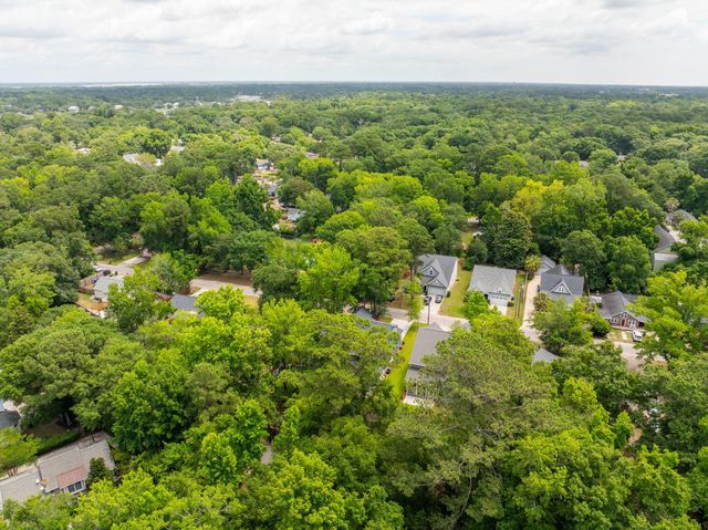 717 Eagle Street, Mount Pleasant, SC 29464