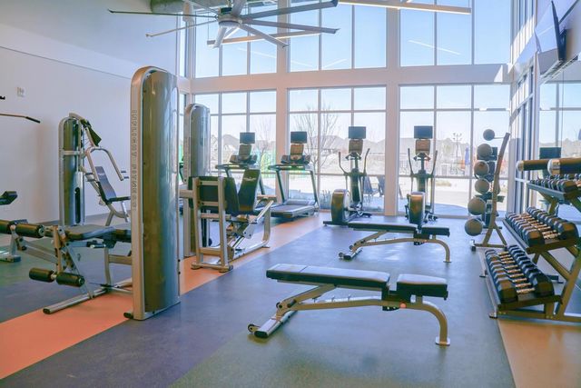 317 Bee Balm Road, Mckinney, TX 75071