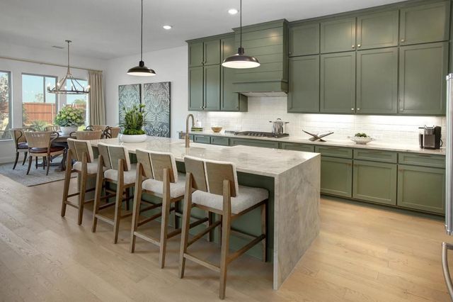 317 Bee Balm Road, Mckinney, TX 75071