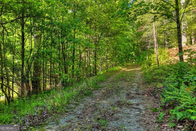 8 AC McNelley Road, Morganton, GA 30560