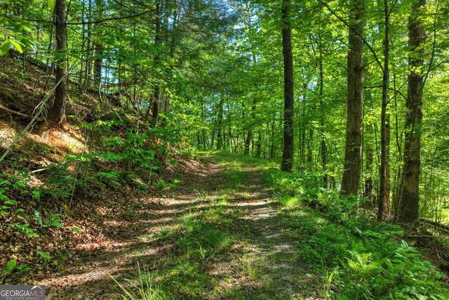 8 AC McNelley Road, Morganton, GA 30560
