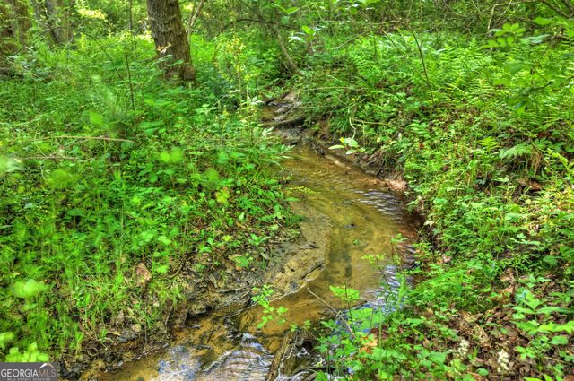8 AC McNelley Road, Morganton, GA 30560