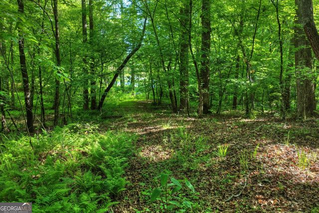 8 AC McNelley Road, Morganton, GA 30560