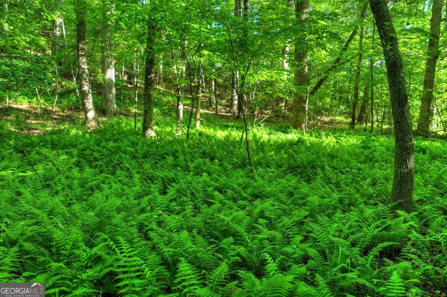 8 AC McNelley Road, Morganton, GA 30560