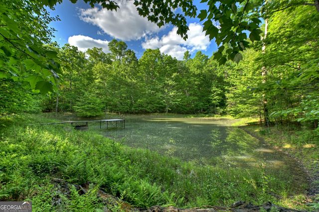 8 AC McNelley Road, Morganton, GA 30560