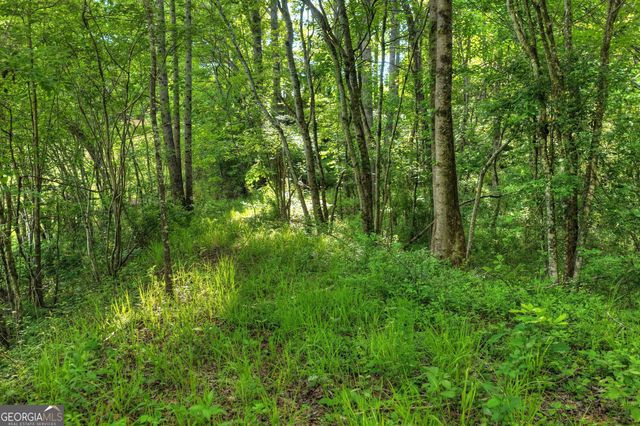 8 AC McNelley Road, Morganton, GA 30560