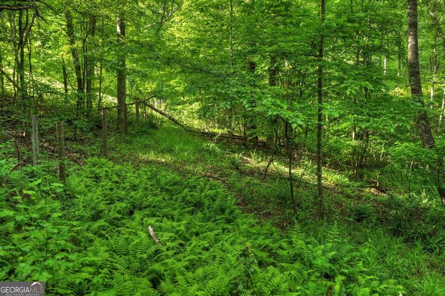 8 AC McNelley Road, Morganton, GA 30560