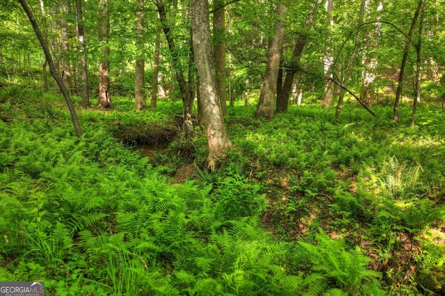 8 AC McNelley Road, Morganton, GA 30560
