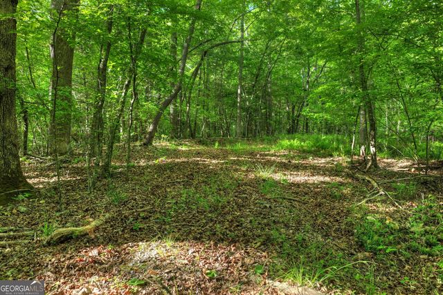 8 AC McNelley Road, Morganton, GA 30560