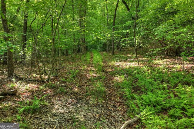 8 AC McNelley Road, Morganton, GA 30560