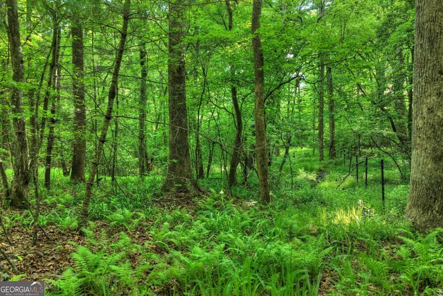 8 AC McNelley Road, Morganton, GA 30560
