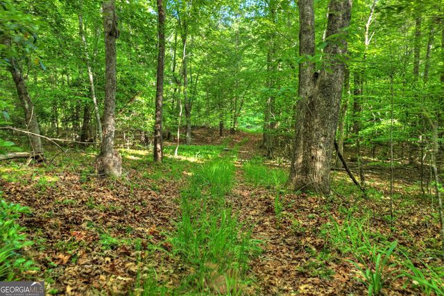 8 AC McNelley Road, Morganton, GA 30560
