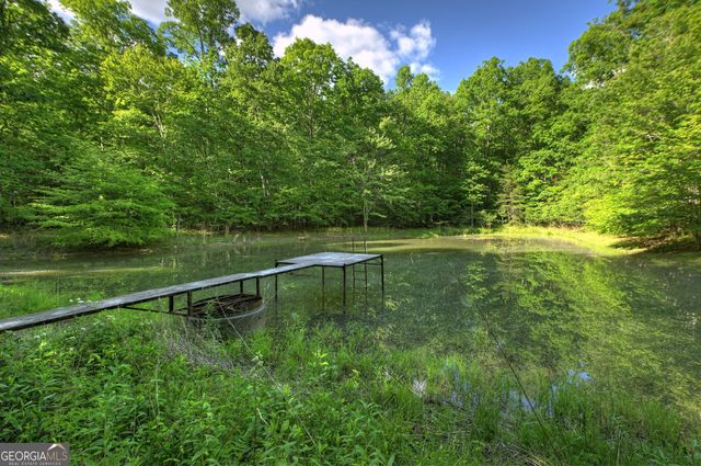 8 AC McNelley Road, Morganton, GA 30560