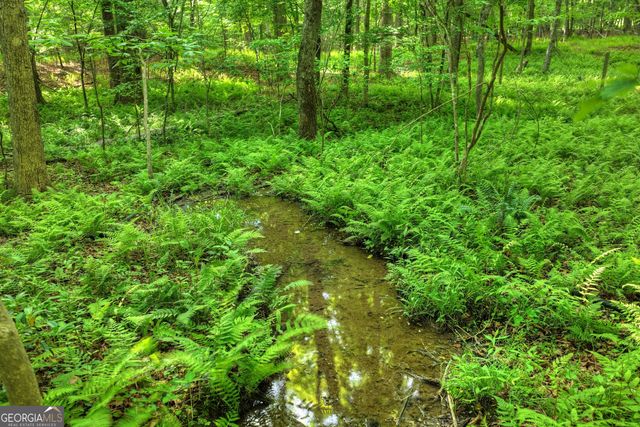 8 AC McNelley Road, Morganton, GA 30560