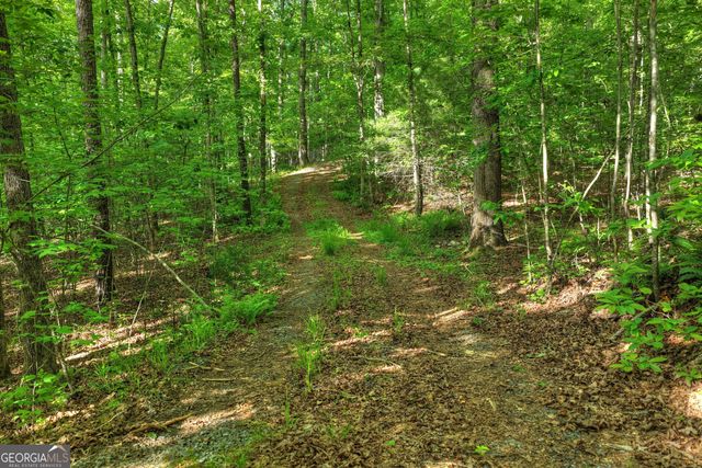 8 AC McNelley Road, Morganton, GA 30560