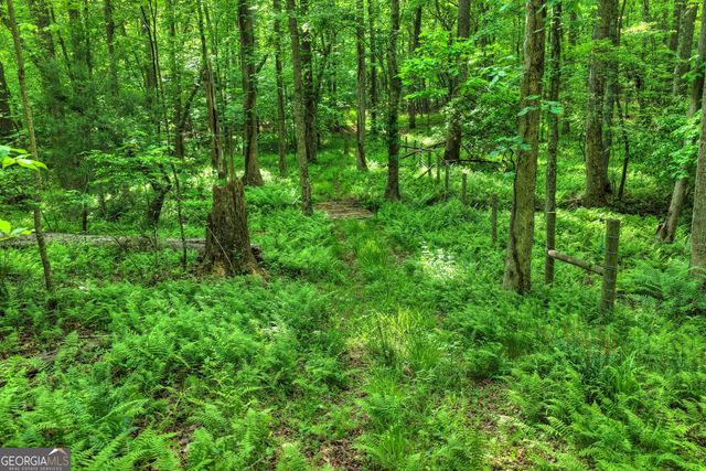 8 AC McNelley Road, Morganton, GA 30560