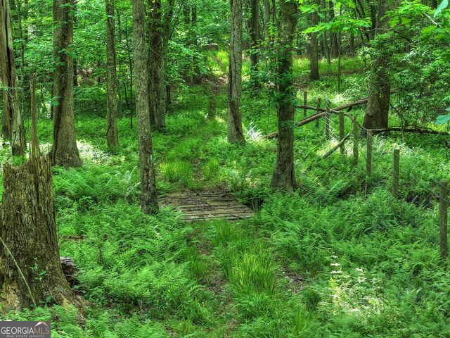 8 AC McNelley Road, Morganton, GA 30560