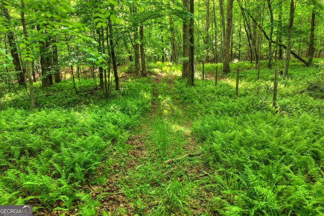 8 AC McNelley Road, Morganton, GA 30560